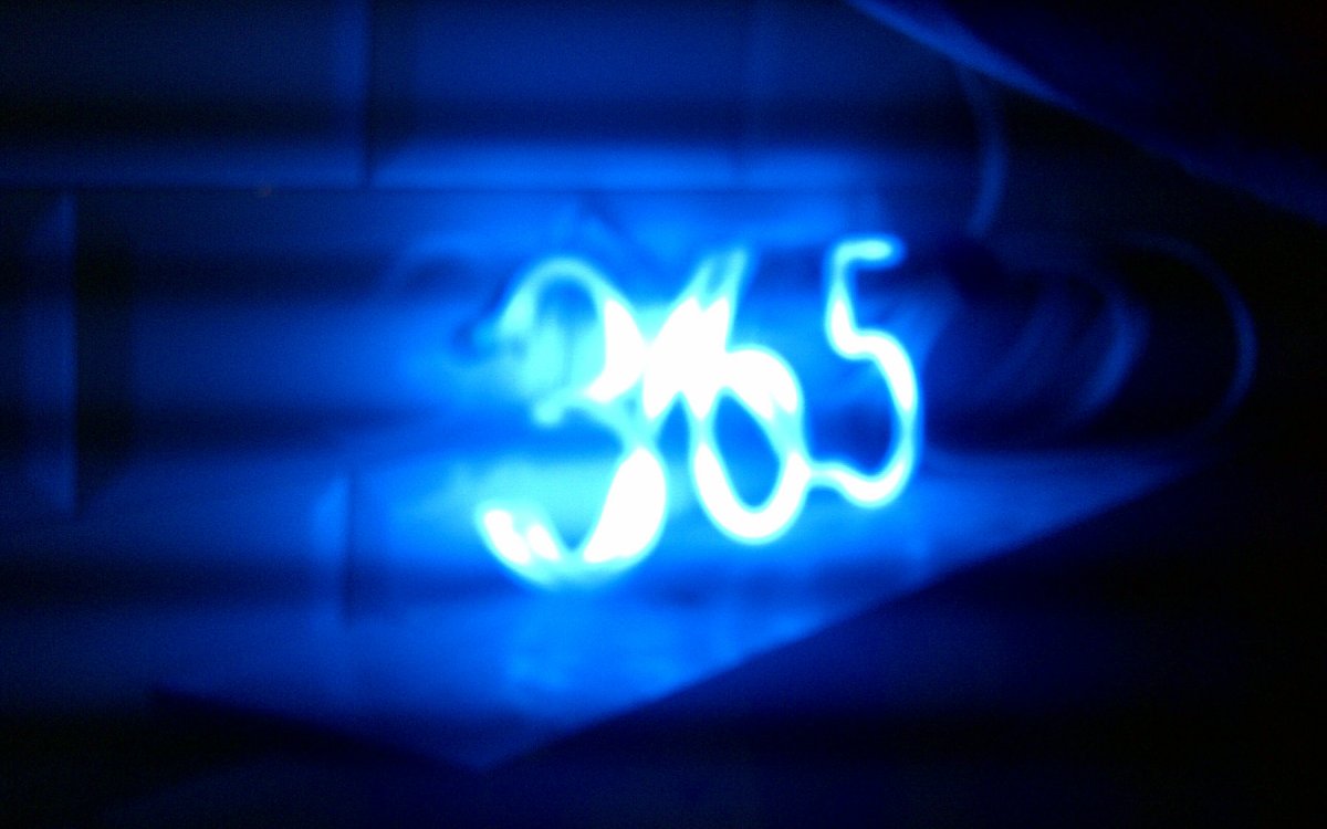 NEON LIGHTS ARE BACK!